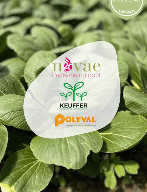 1er légumerie bio de suisse romande - novae -keuffer